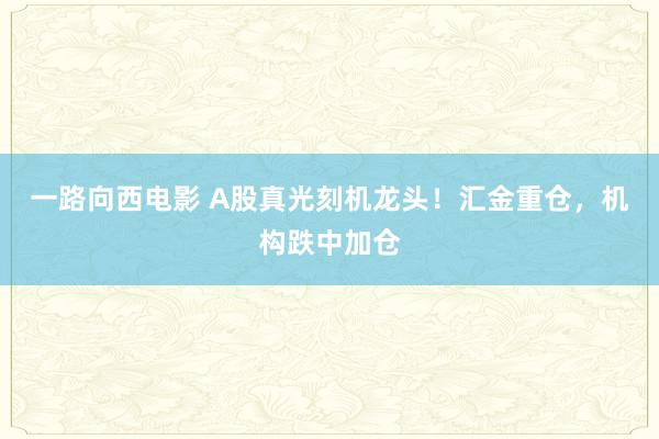 一路向西电影 A股真光刻机龙头！汇金重仓，机构跌中加仓