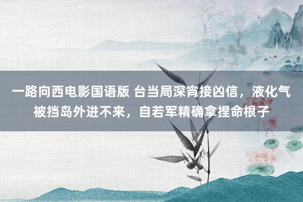 一路向西电影国语版 台当局深宵接凶信，液化气被挡岛外进不来，自若军精确拿捏命根子