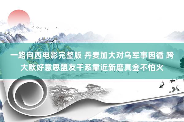 一路向西电影完整版 丹麦加大对乌军事因循 跨大欧好意思盟友干系靠近新磨真金不怕火