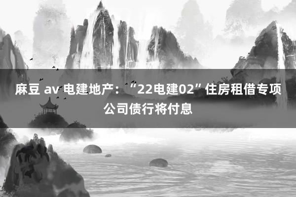 麻豆 av 电建地产：“22电建02”住房租借专项公司债行将付息