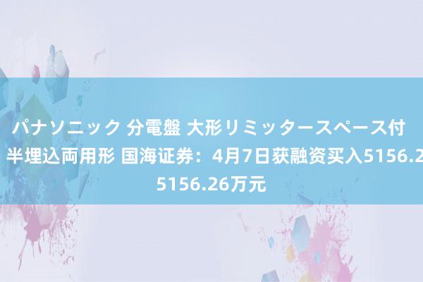 パナソニック 分電盤 大形リミッタースペース付 露出・半埋込両用形 国海证券：4月7日获融资买入5156.26万元