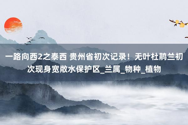 一路向西2之泰西 贵州省初次记录！无叶杜鹃兰初次现身宽敞水保护区_兰属_物种_植物