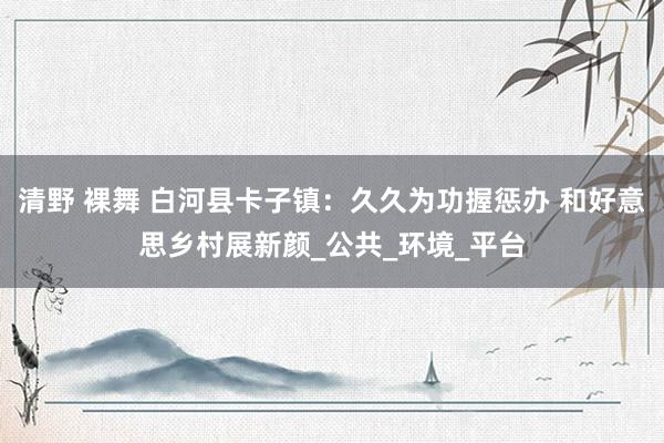 清野 裸舞 白河县卡子镇：久久为功握惩办 和好意思乡村展新颜_公共_环境_平台