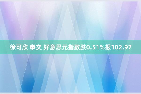 徐可欣 拳交 好意思元指数跌0.51%报102.97
