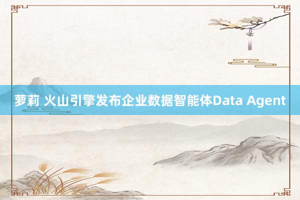 萝莉 火山引擎发布企业数据智能体Data Agent