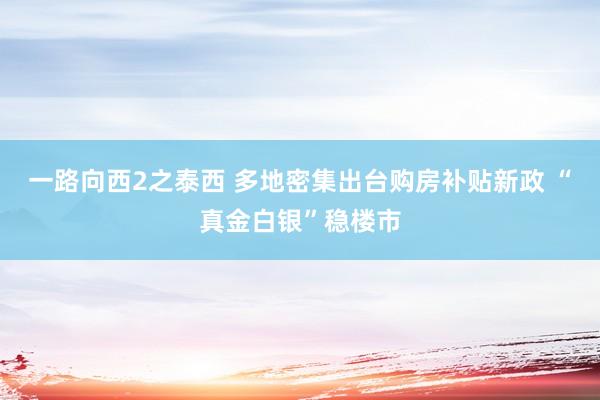 一路向西2之泰西 多地密集出台购房补贴新政 “真金白银”稳楼市