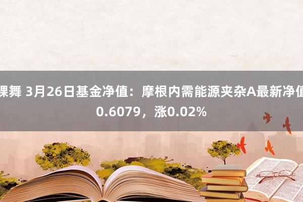 裸舞 3月26日基金净值：摩根内需能源夹杂A最新净值0.6079，涨0.02%