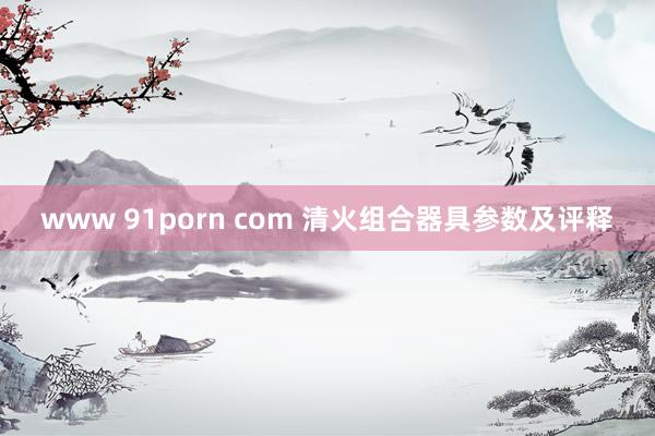 www 91porn com 清火组合器具参数及评释