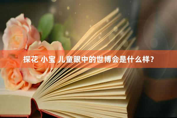 探花 小宝 儿童眼中的世博会是什么样？