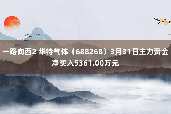 一路向西2 华特气体（688268）3月31日主力资金净买入5361.00万元