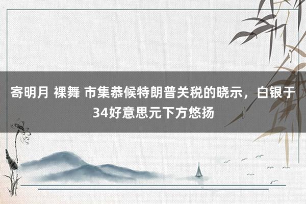 寄明月 裸舞 市集恭候特朗普关税的晓示，白银于34好意思元下方悠扬