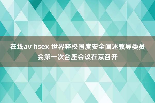 在线av hsex 世界粹校国度安全阐述教导委员会第一次合座会议在京召开