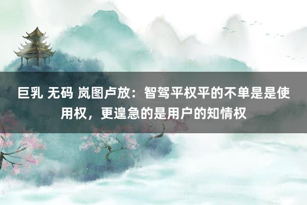 巨乳 无码 岚图卢放：智驾平权平的不单是是使用权，更遑急的是用户的知情权