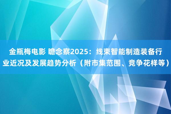 金瓶梅电影 瞻念察2025：线束智能制造装备行业近况及发展趋势分析（附市集范围、竞争花样等）