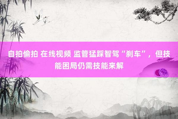 自拍偷拍 在线视频 监管猛踩智驾“刹车”，但技能困局仍需技能来解