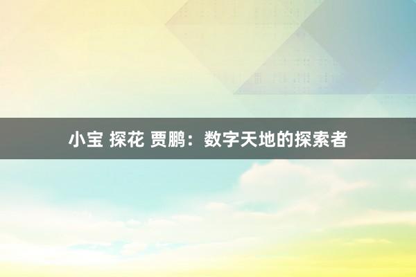 小宝 探花 贾鹏：数字天地的探索者