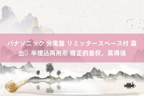 パナソニック 分電盤 リミッタースペース付 露出・半埋込両用形 雍正的皇权，莫得谜
