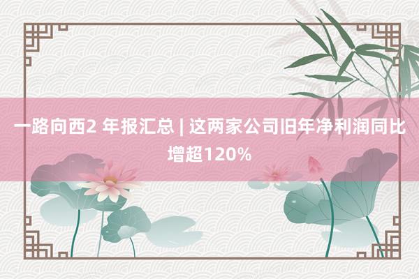 一路向西2 年报汇总 | 这两家公司旧年净利润同比增超120%