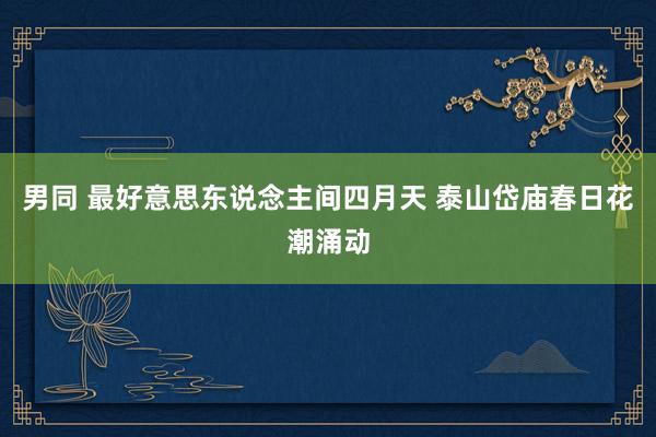 男同 最好意思东说念主间四月天 泰山岱庙春日花潮涌动