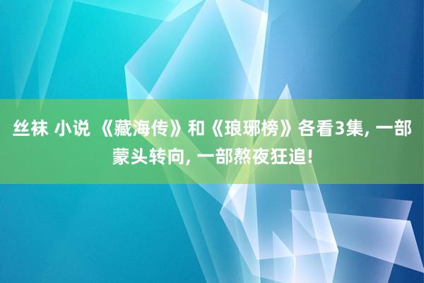 丝袜 小说 《藏海传》和《琅琊榜》各看3集， 一部蒙头转向， 一部熬夜狂追!